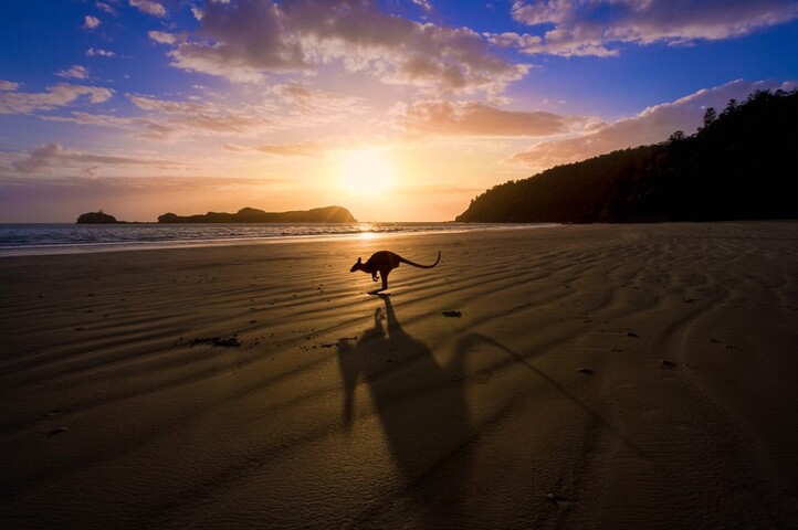 Image: Skippy will have to hop out of bed a little earlier next week if he hopes to catch the sunrise. Source: iStock/Greg Sullavan