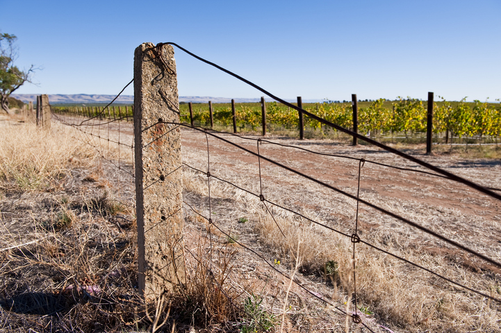 Image: The McLaren Vale, south of Adelaide, pictured in an April which was almost as dry as April 2025. Source: iStock/kimeveruss