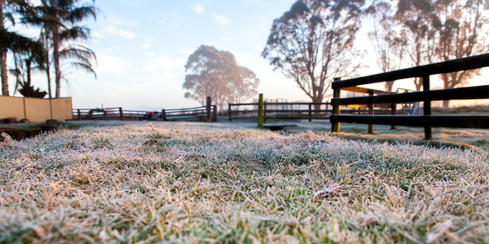 Image: It was the sort of night where inland frost occurred among the palm trees and the gum trees. Source: iStock/Macier 3 Photography