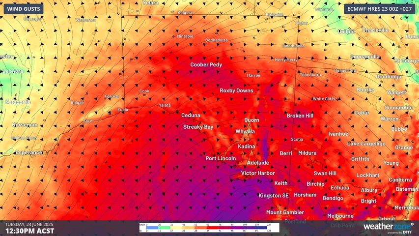 Image: Modelled wind gusts around midday on Tuesday, June 24. Source: Weatherzone.