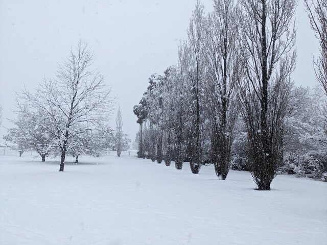 Image: Guyra was covered in up to 15cm of snow by midday on August 2, 2025. Source: Shane Battistuzzi