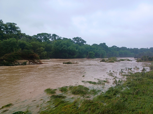weatherzone.com.au - One year on from the Guadalupe River flash flood - how predictions are improving