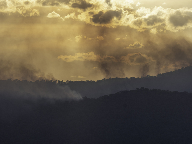 Australia's spring 2026 bushfire outlook: Increased risk in seven states and territories
