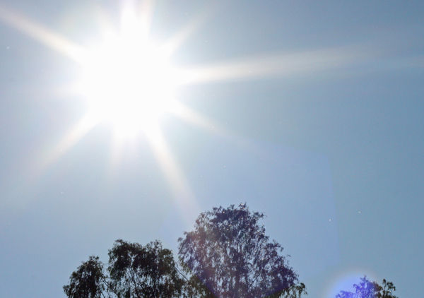 Vic heatwave 'could be deadly'