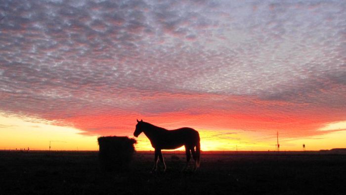 Heatwave hits inland Australia: scorching temperatures tipped to break, bringing relief