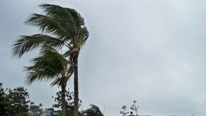 Tropical Cyclone Dylan gathers strength after king tides hit North Queensland coast