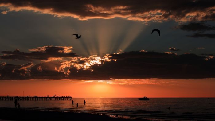 Adelaide sets summer record for extreme heat, with 12 days of 40 degrees Celsius or above